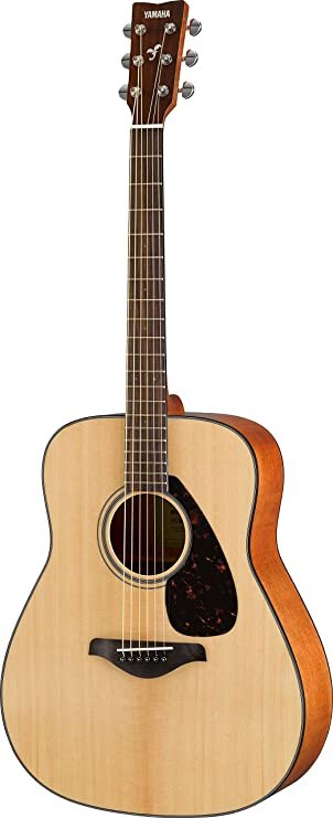 Acoustic guitar