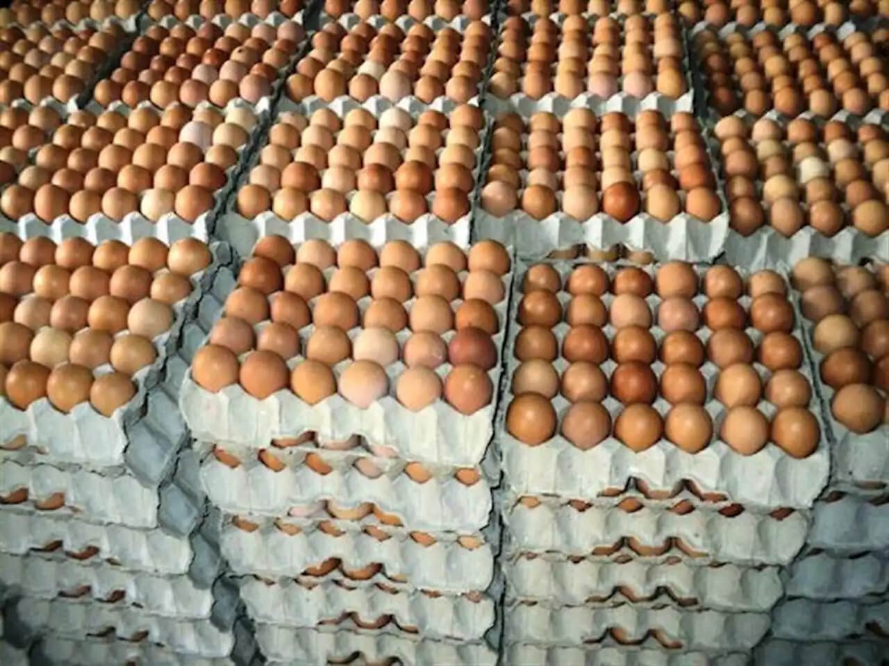 Crate of Eggs