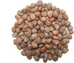 Feeds, Supplements & Seeds