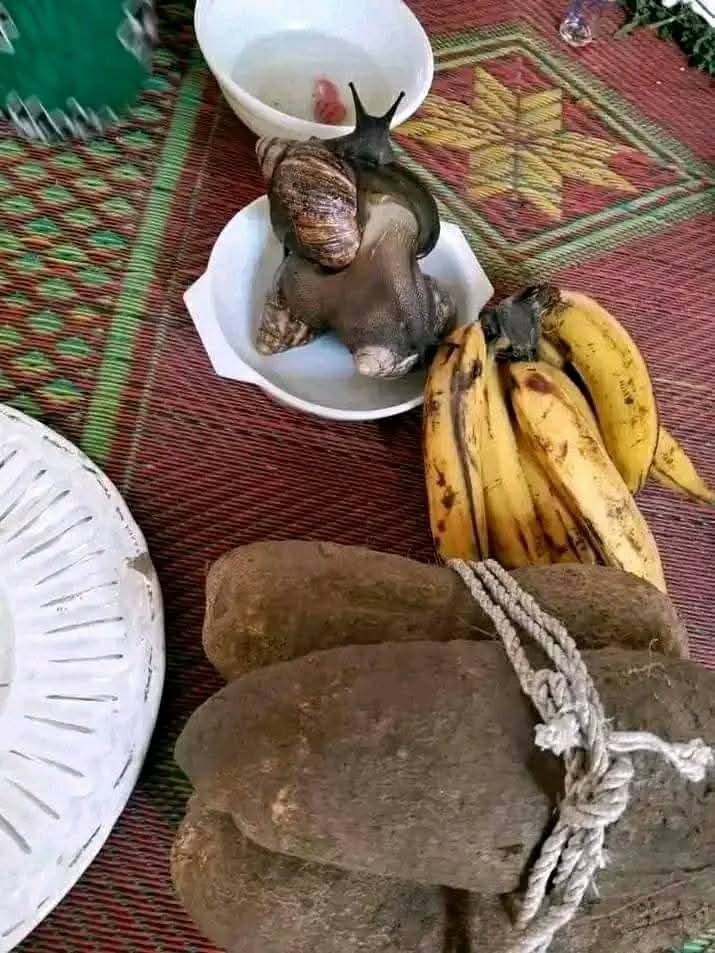 The best powerful spiritual herbalist in nigeria image 3