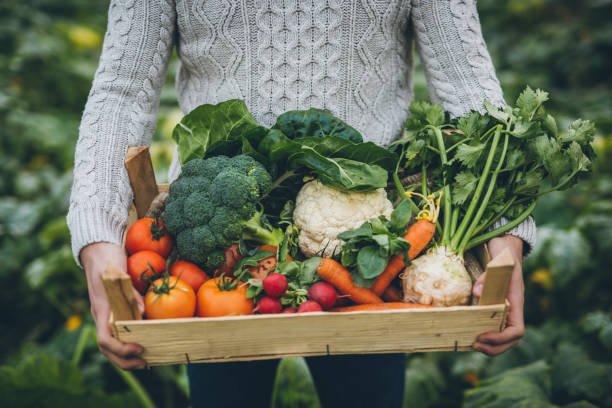 Agriculture & Food