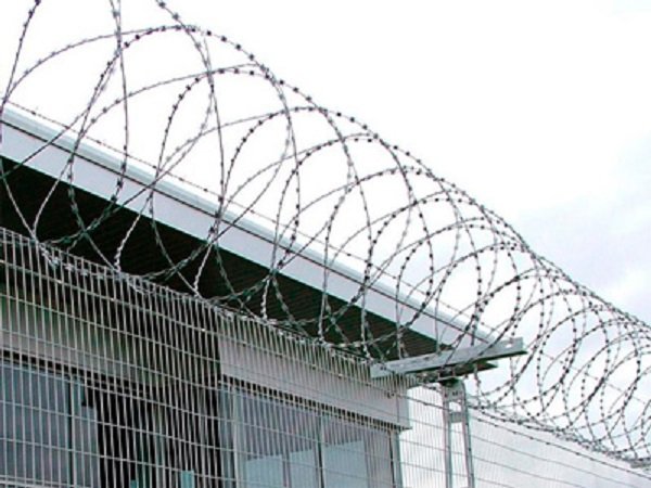 Barbed Wires