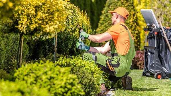 Landscaping Services