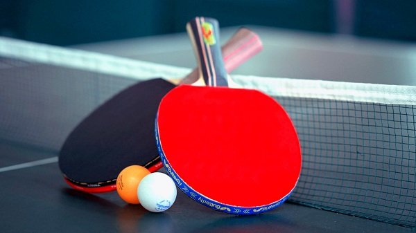 Table Tennis Bats