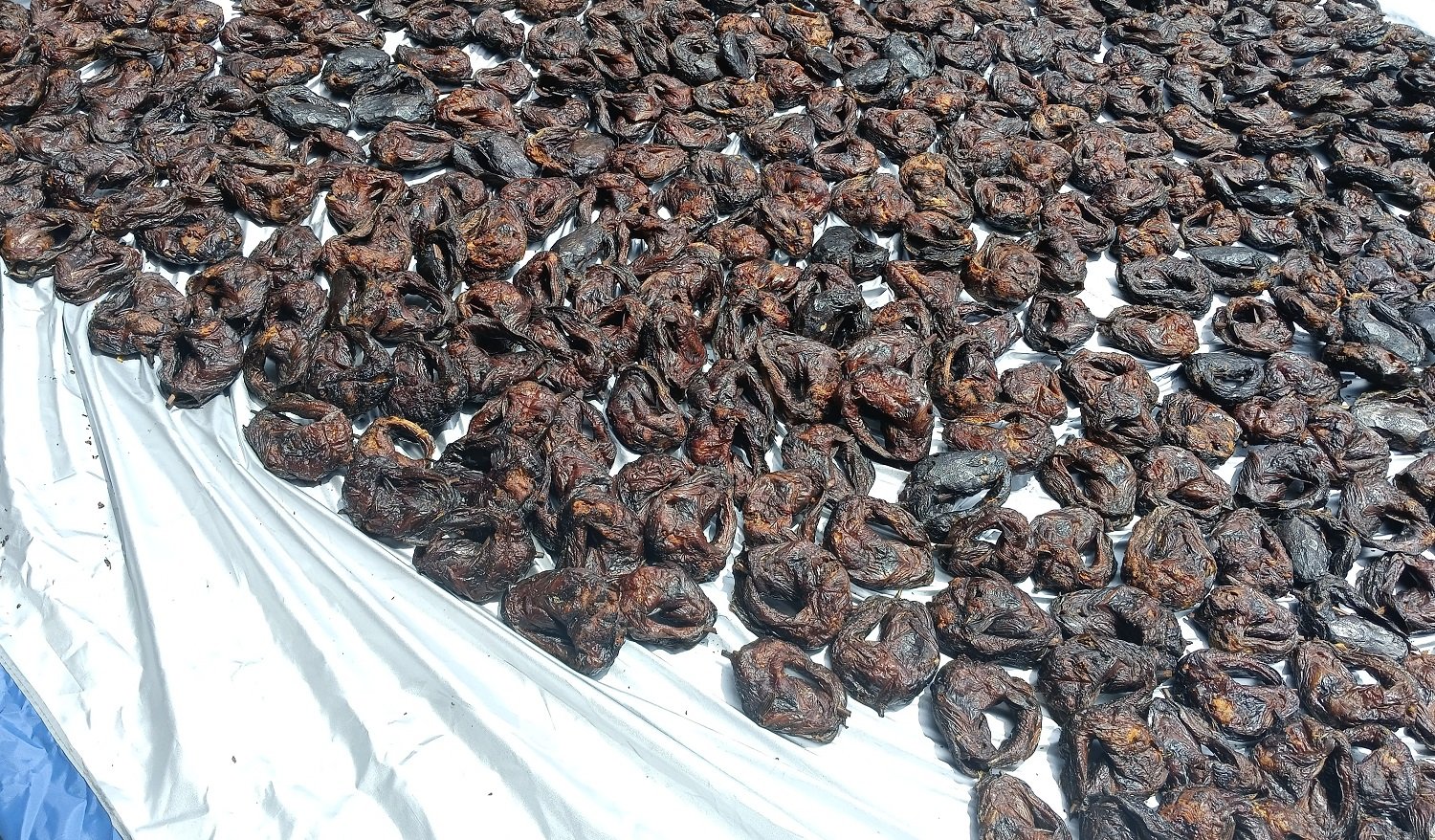 Freshly Smoked Catfish Available for Sale In Bwari - Abuja image 3