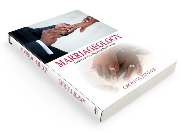 Marriageology: Guidance on Your Way to and from the Altar image 2
