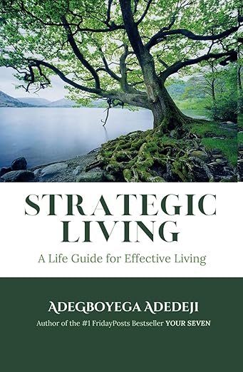 Strategic Living: A Life Guide for Effective Living (Hardcover Book)